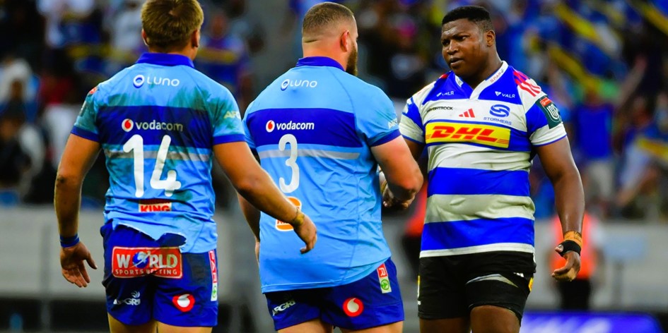 Springboks tweet media