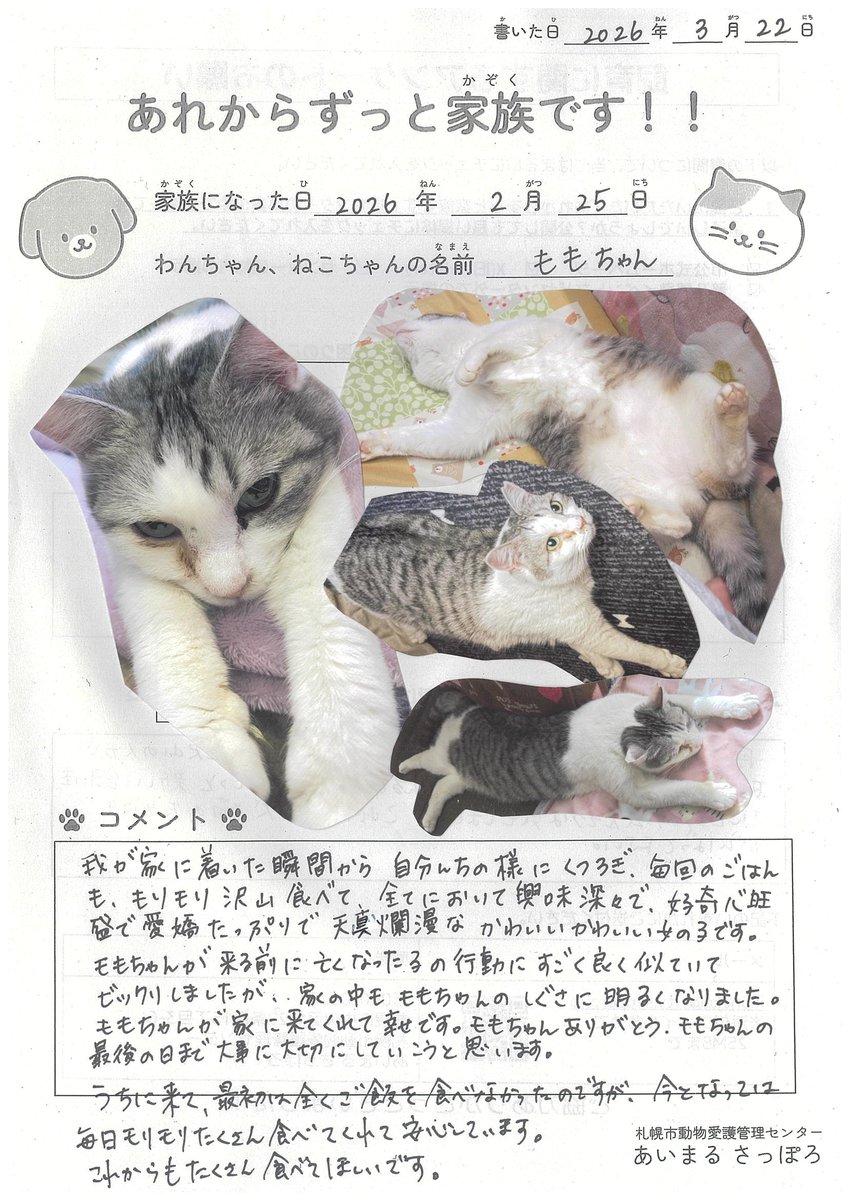 札幌市動物愛護管理センター(あいまる さっぽろ) tweet media