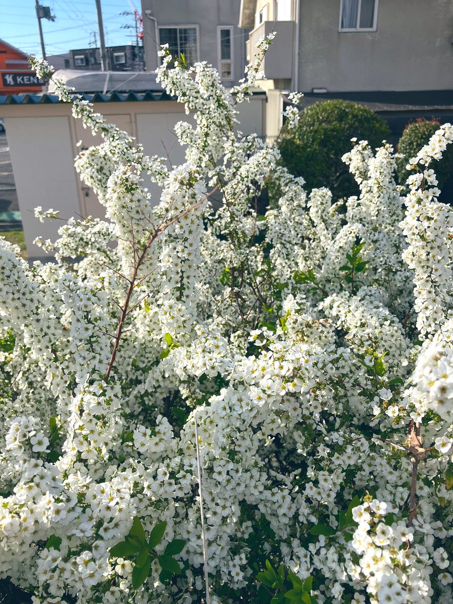 宇田満里子(うだまりこ) tweet media