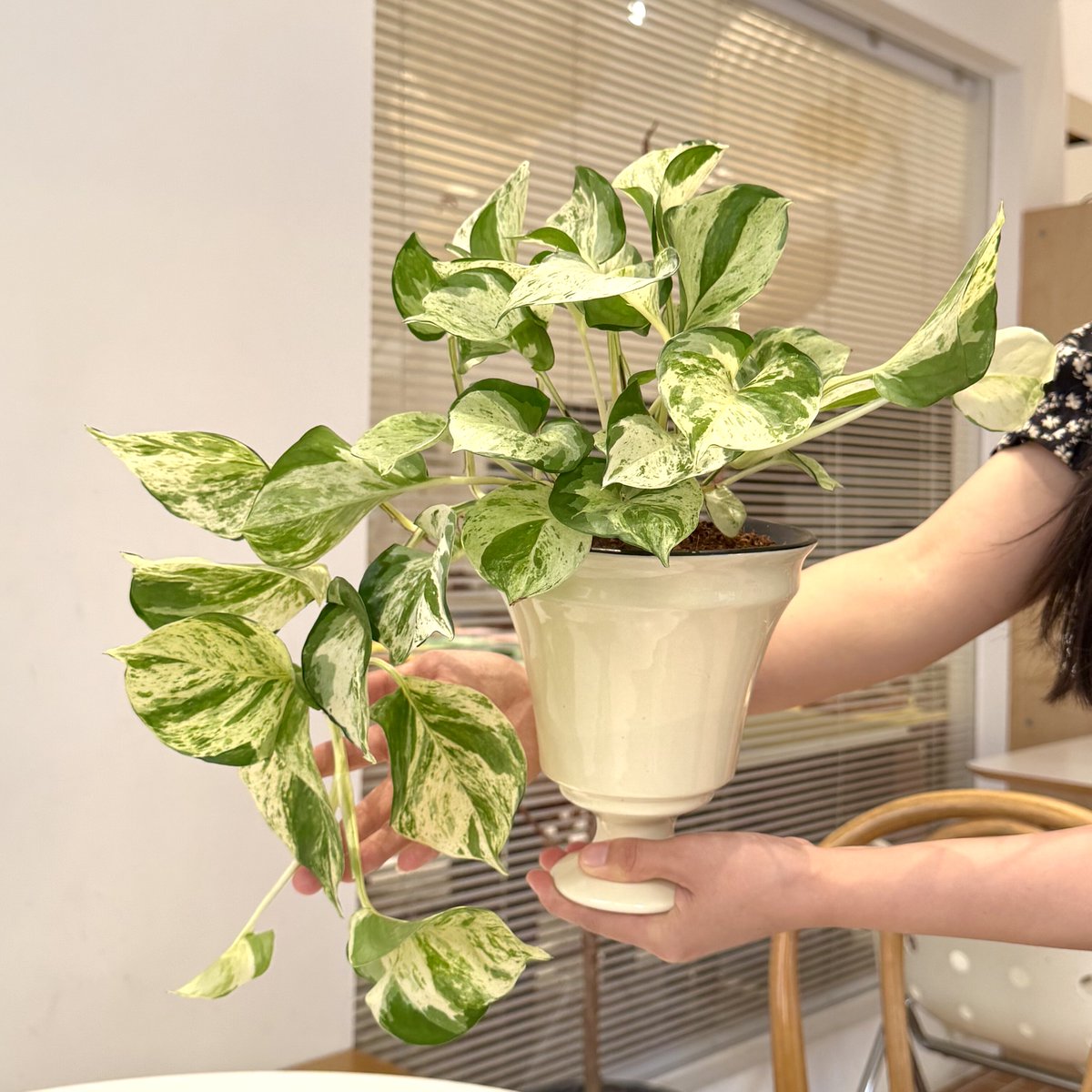 chittaranjanpalai tweet media