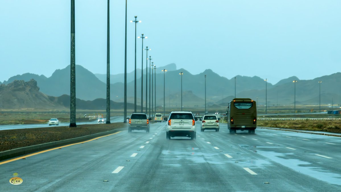 محمد بن أحمد الفريدي tweet media