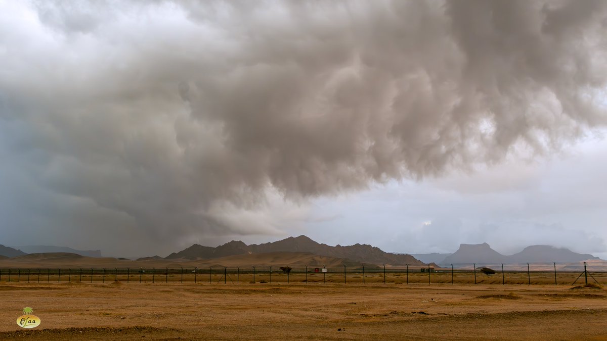 محمد بن أحمد الفريدي tweet media