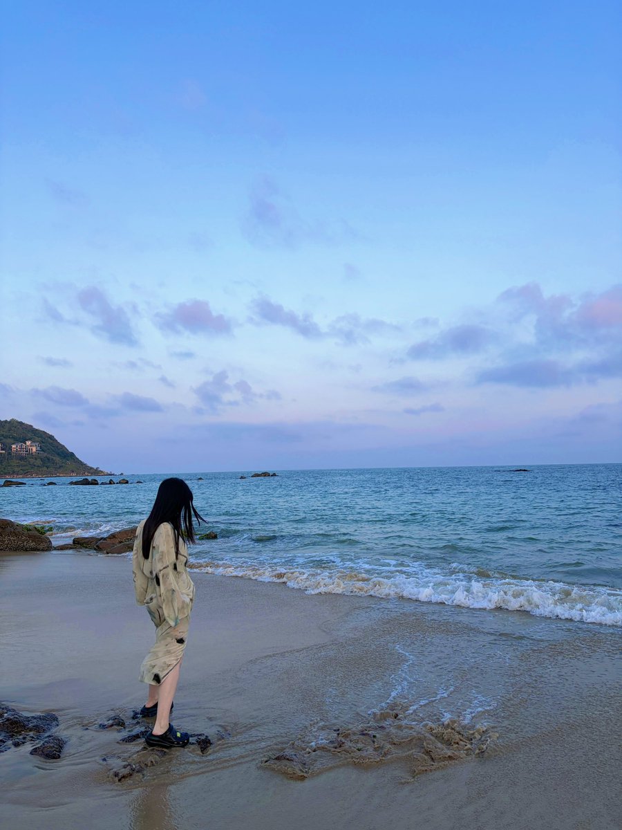 树袋熊也是熊🐨 tweet media