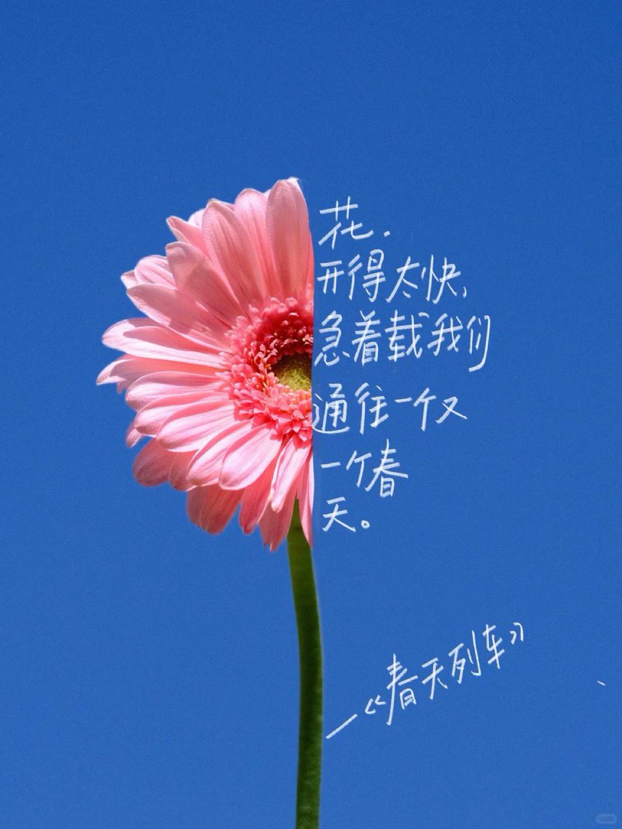 See shanxi tweet media