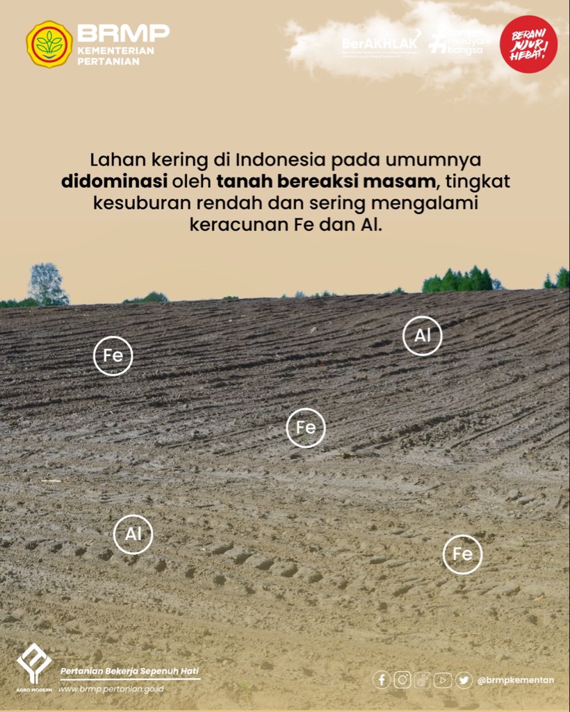 brmpkementan's tweet photo. Memasuki musim kemarau, pengelolaan lahan kering menjadi semakin penting untuk dilakukan secara terukur. Data kondisi tanah menjadi dasar dalam menentukan langkah budidaya yang tepat di tengah keterbatasan air.

#PUTK #ujitanah #tanahkering #sampeltanah #brmpkementan #agromodern https://t.co/WNqVR9KBx1
