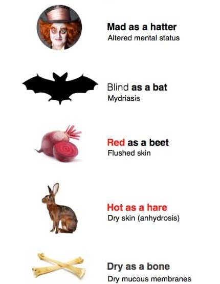 Dr Abdul Hameed 🩺 tweet media