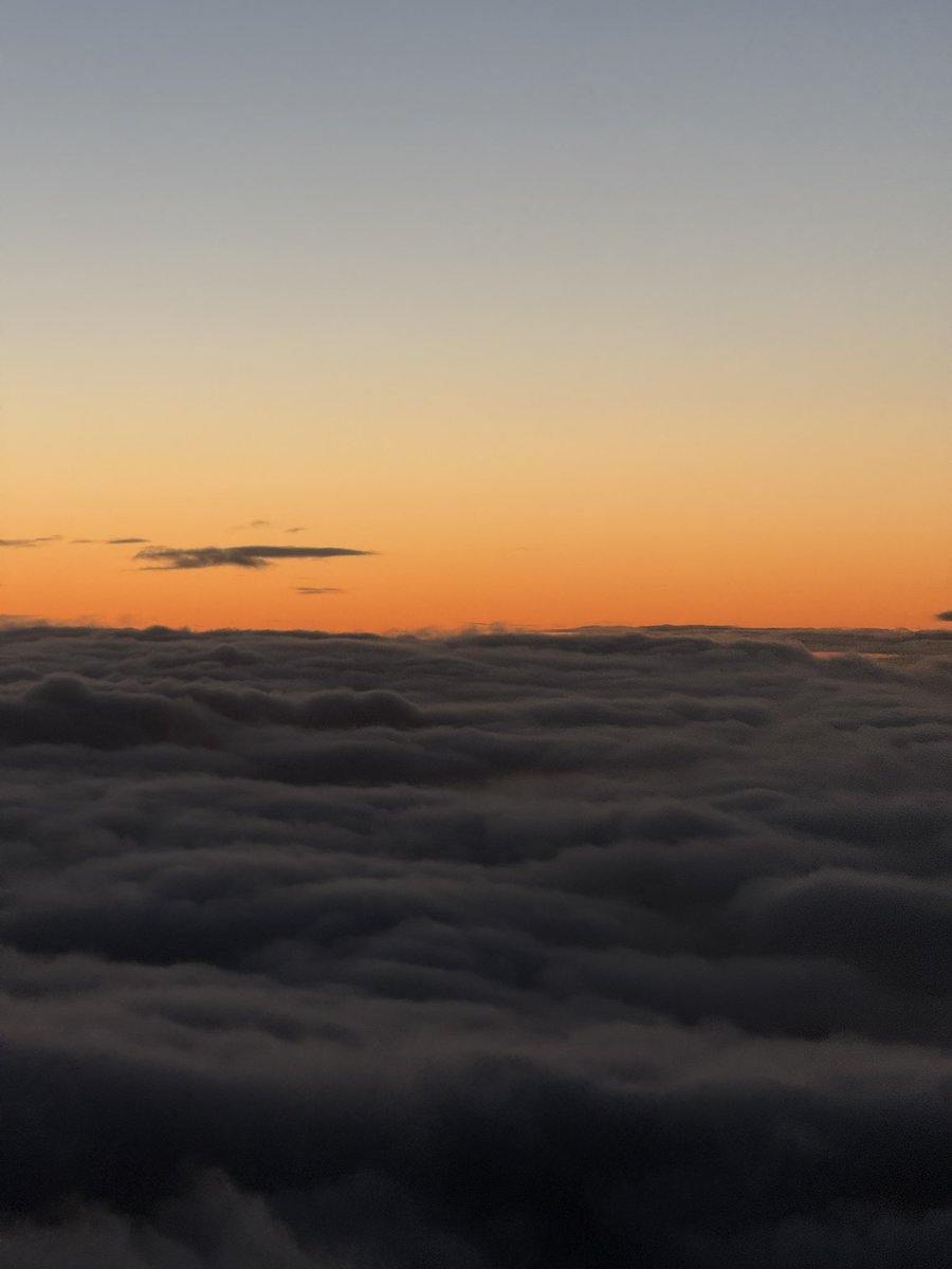 𝕁𝕌ℕ𝕔𝕠eur🕊𓂃 𓈒🫧Piècedelapatinagearstistique tweet media