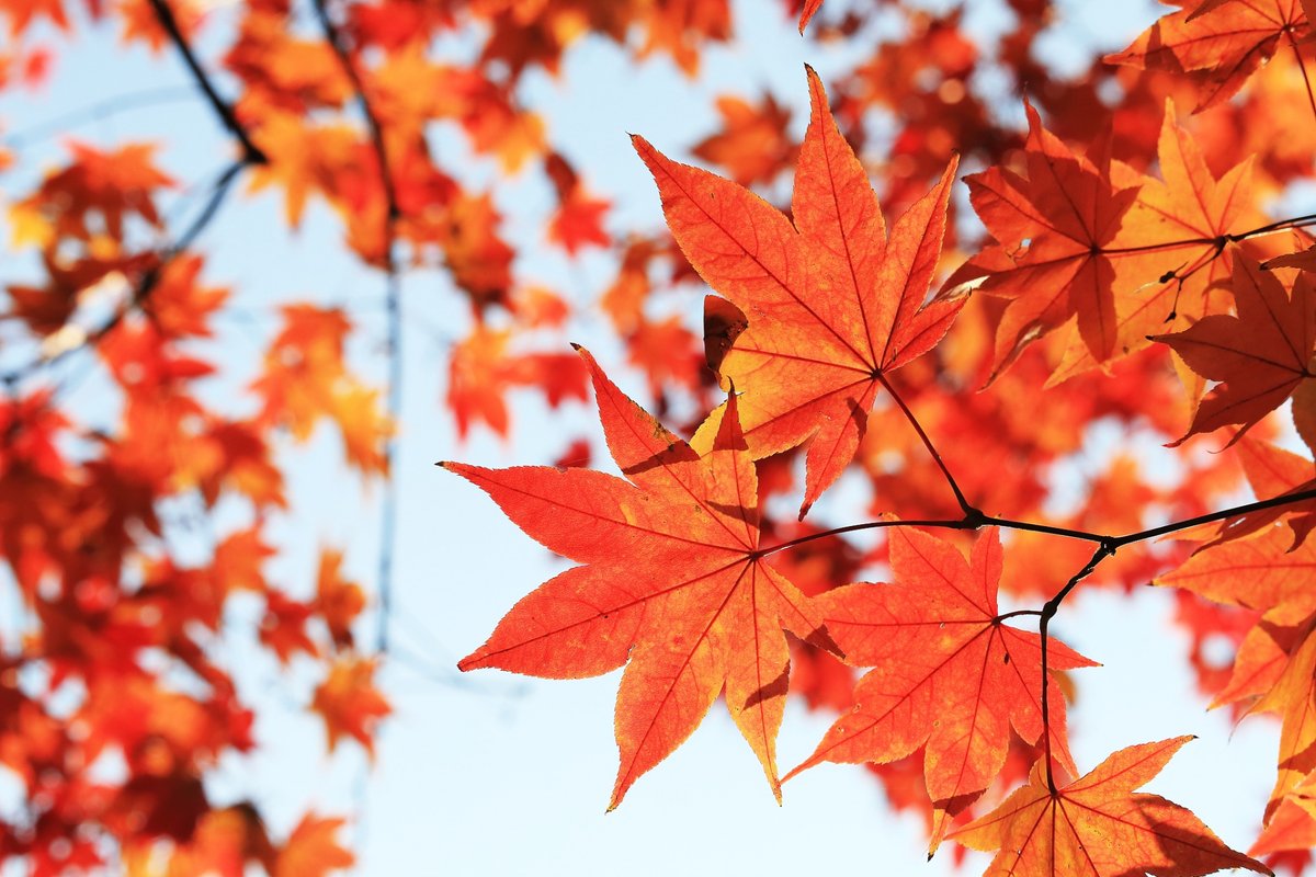 Homens com Atitude tweet media