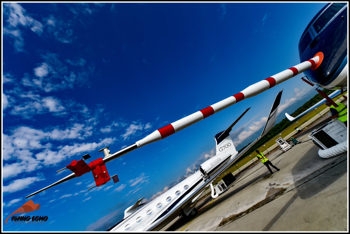 M BELLELI tweet media