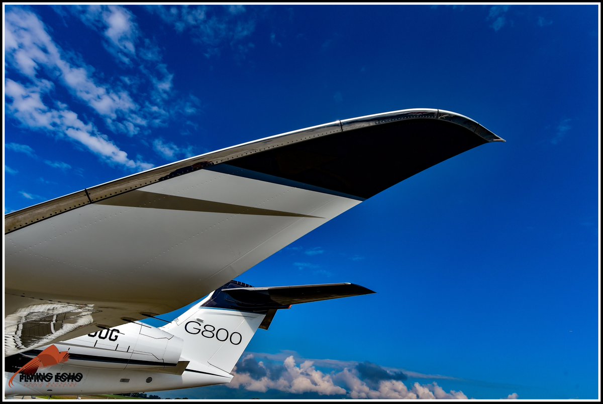 M BELLELI tweet media