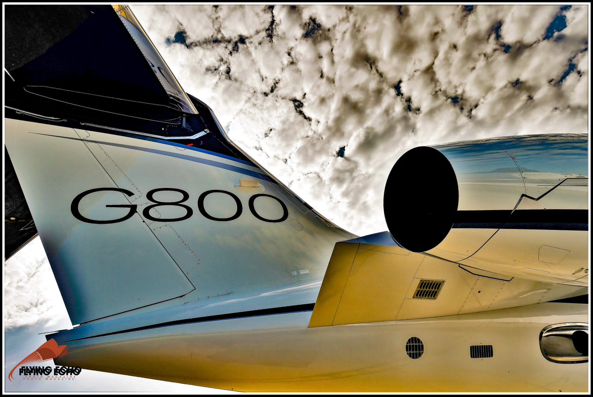 M BELLELI tweet media