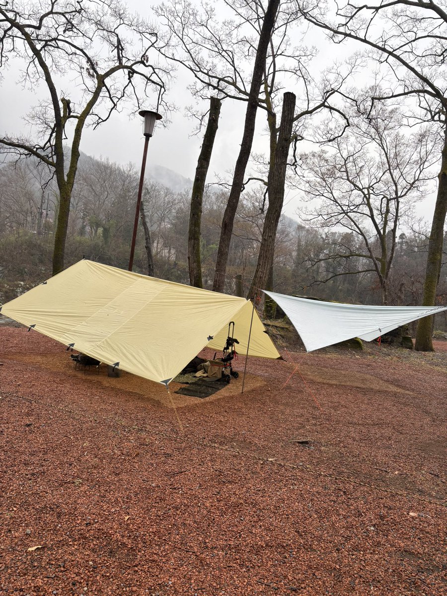 KT584ハンモッカー・徒歩ハンモック会［キャンプサイコー協会員、焚火鉄鍋会会長、KP協会 tweet media