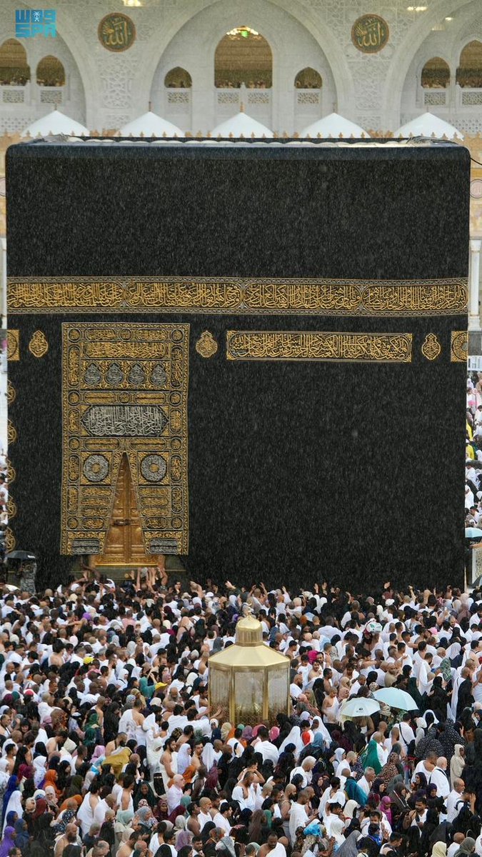 العربية السعودية tweet media