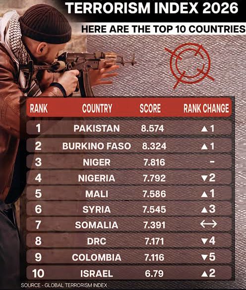 Daily Observer tweet media