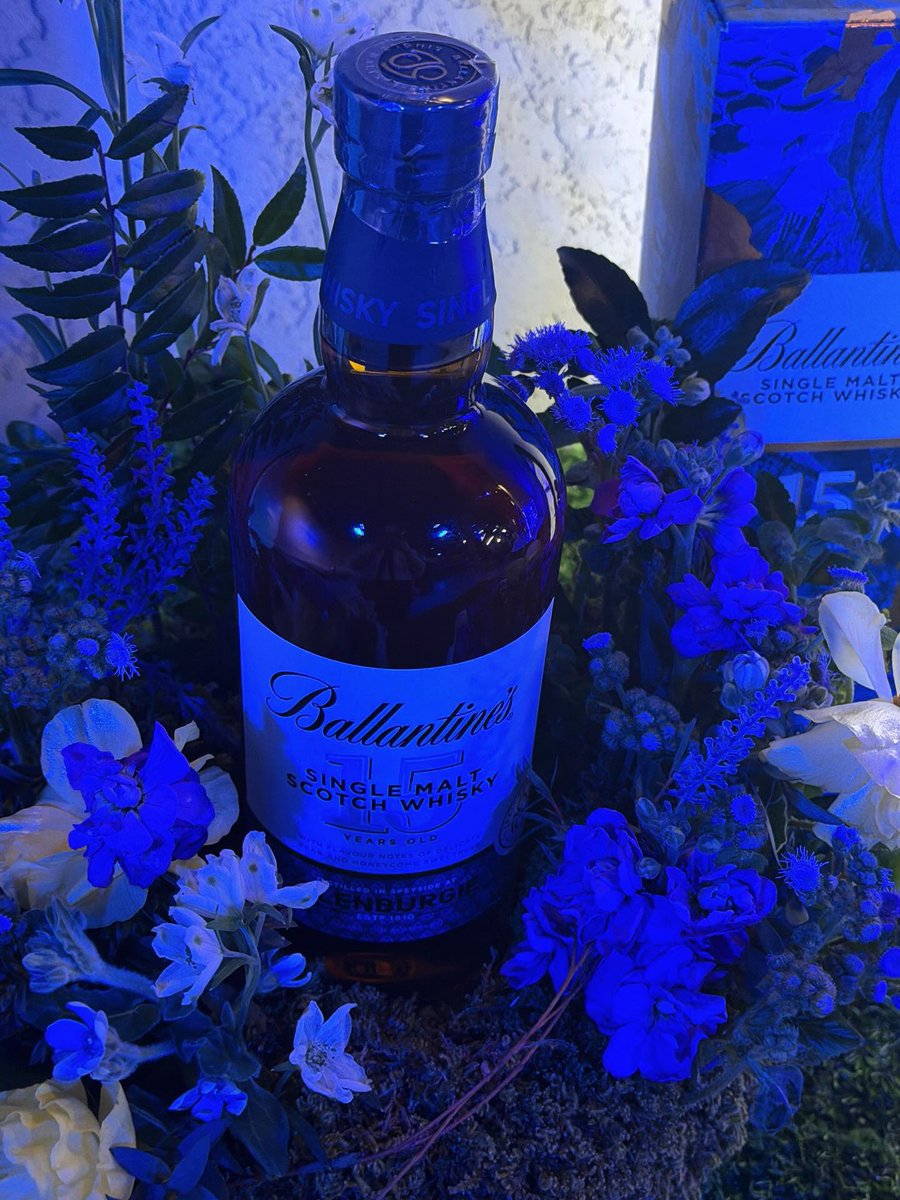 LUNA ❩ tweet media