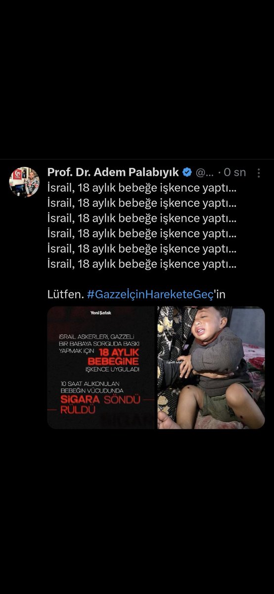 Prof. Dr. Adem Palabıyık tweet media