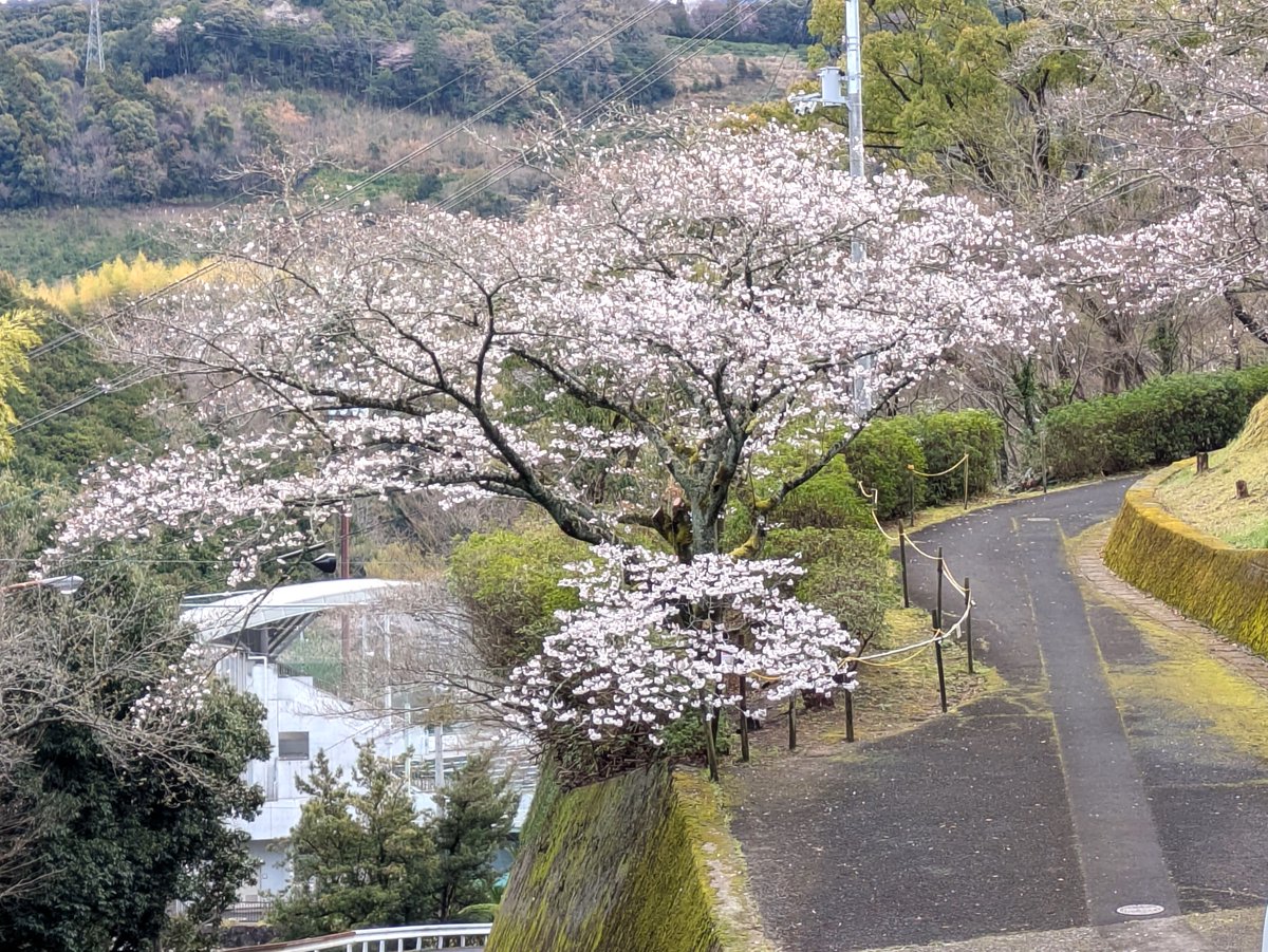 愛媛県宇和島市 tweet media