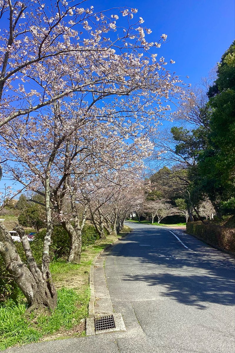 ときわ公園【公式】 tweet media