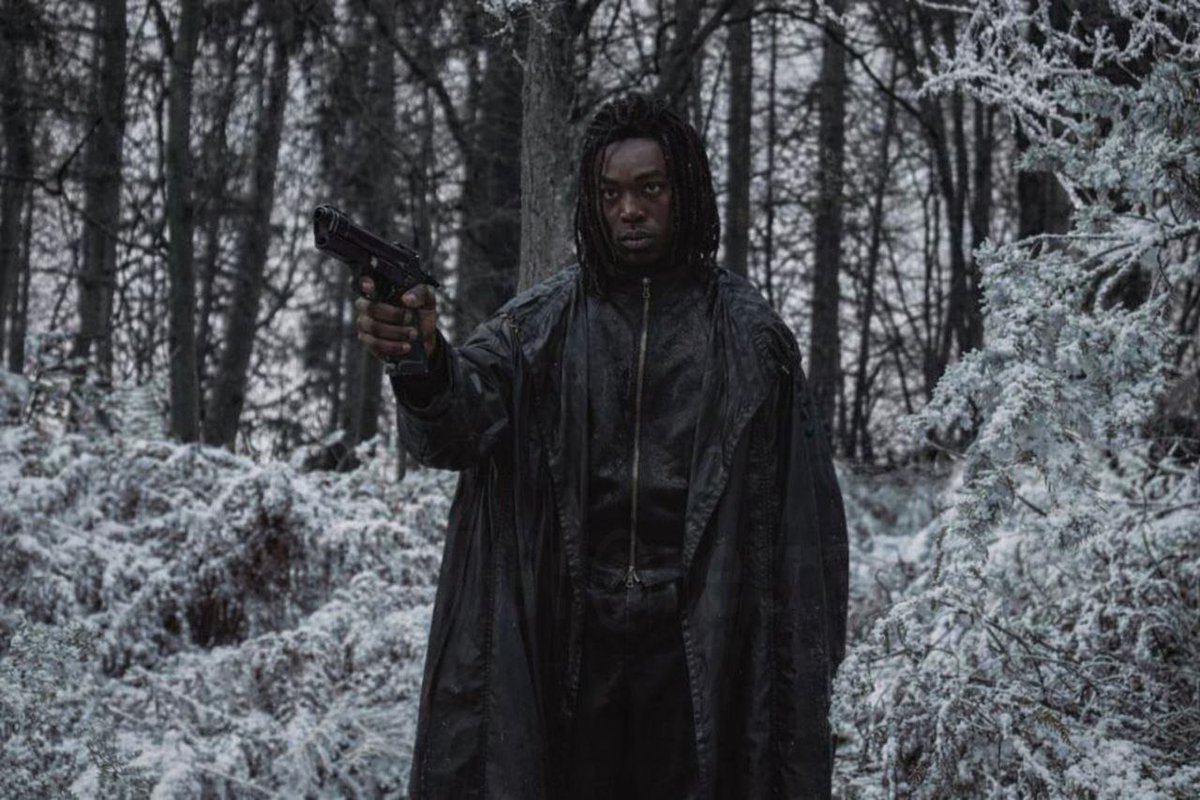 Johnny_the_Red_cat tweet media