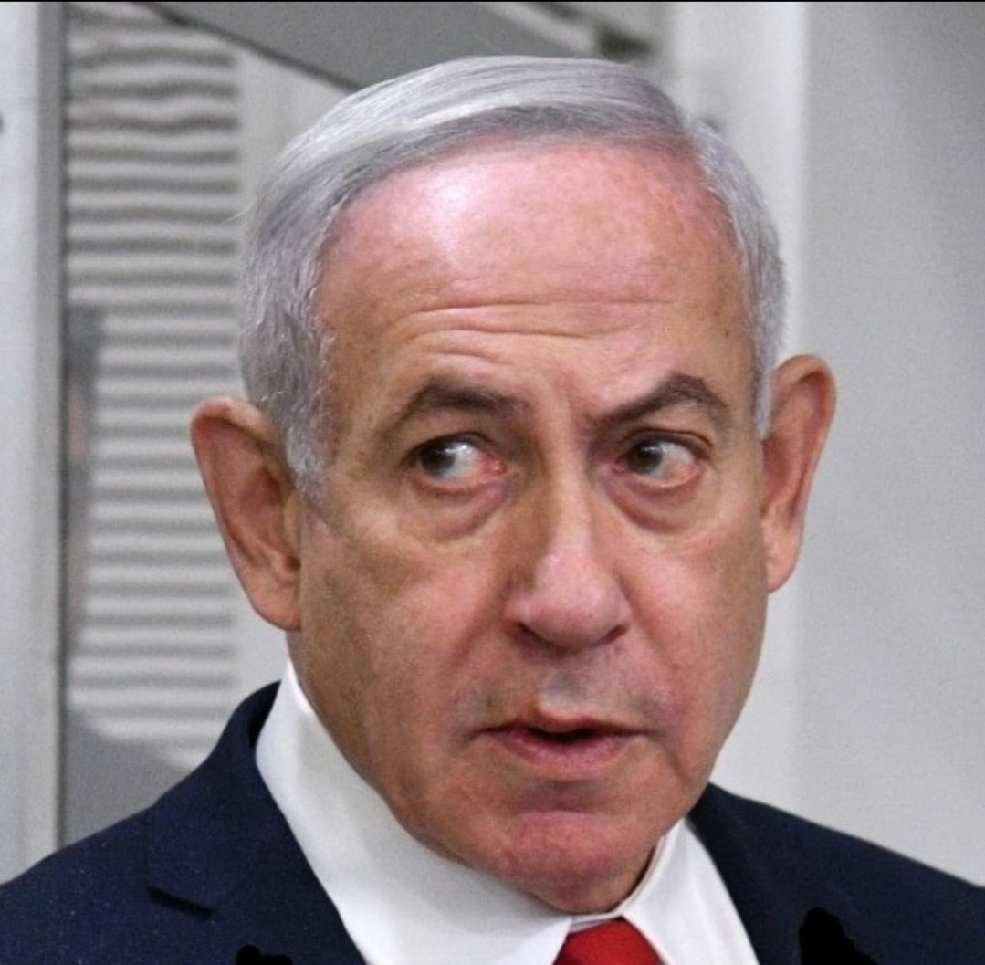 Yosi Levy - יוסי לוי tweet media