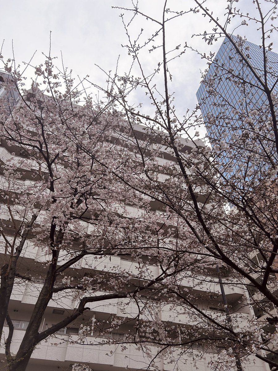 まいなすいょん🍏IRON ATTACK!🍏 tweet media