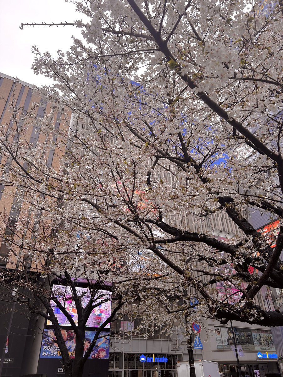 まいなすいょん🍏IRON ATTACK!🍏 tweet media