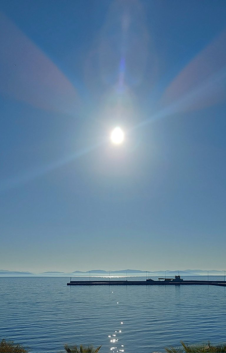 vasilis p tweet media