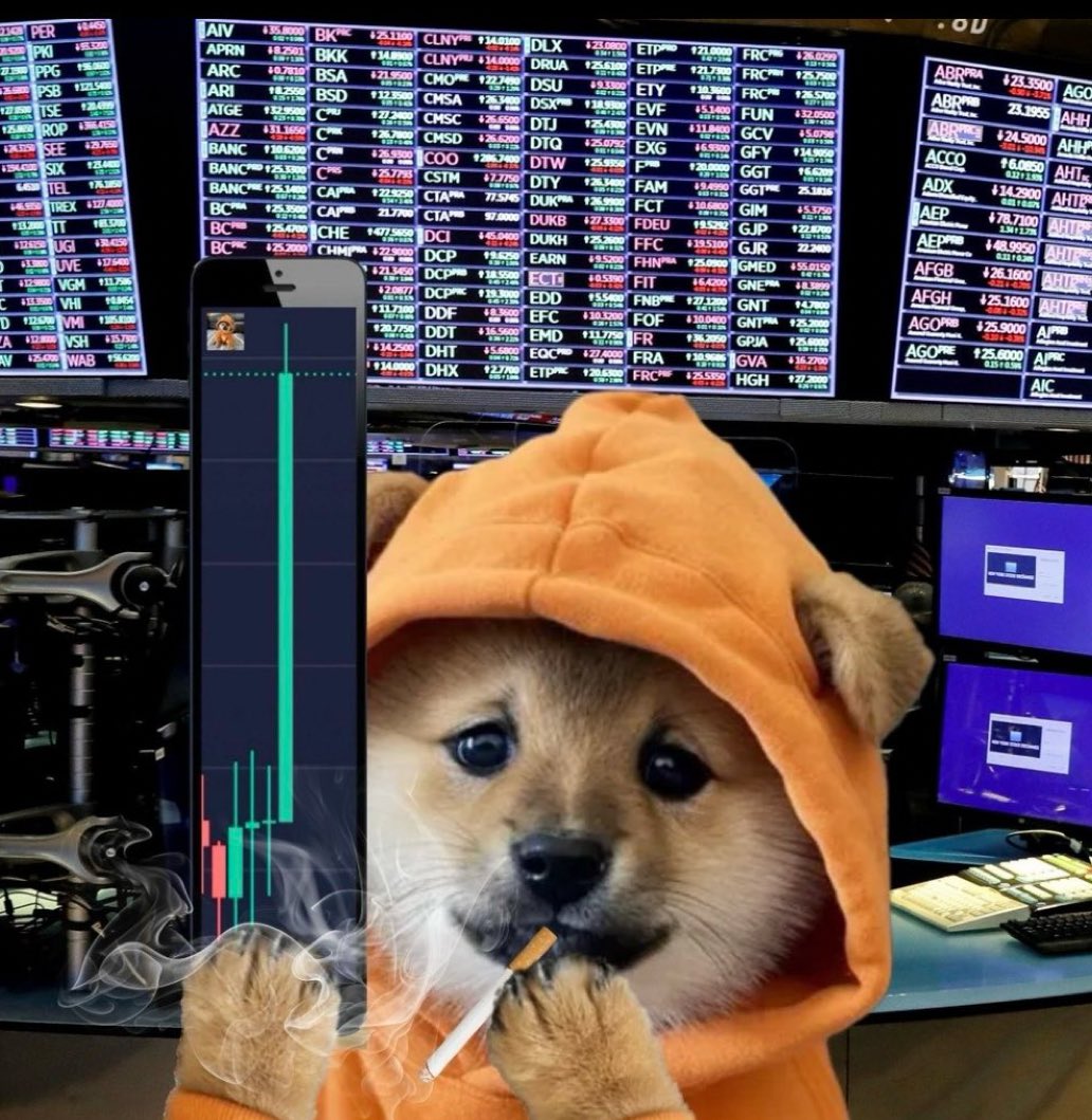 DOG.GO.TO.THE.MOON 🐕📝 tweet media