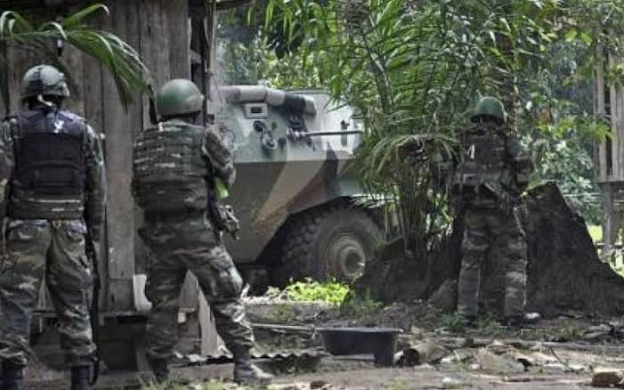 zulu alpha tweet media