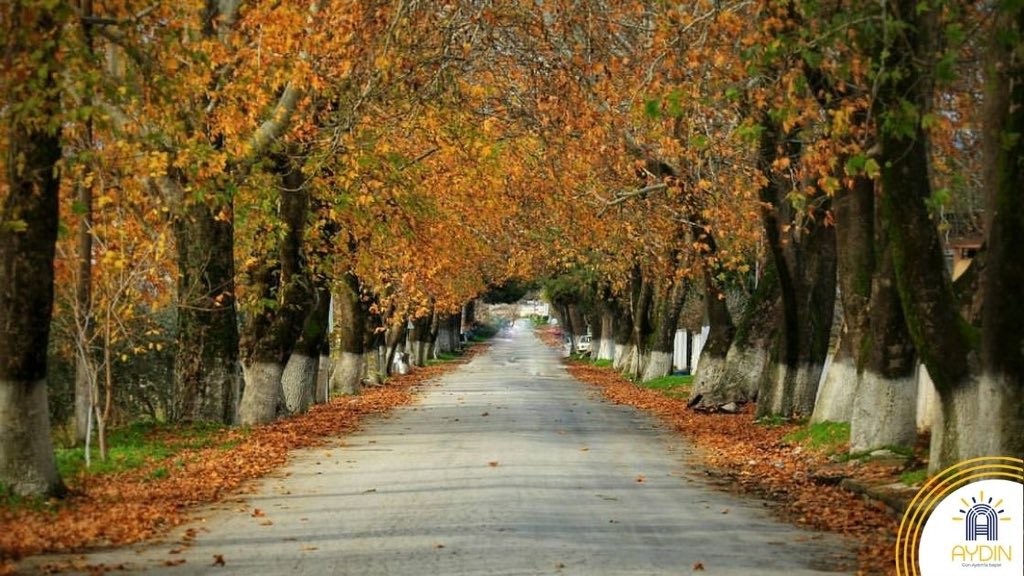 Visit Aydın tweet media