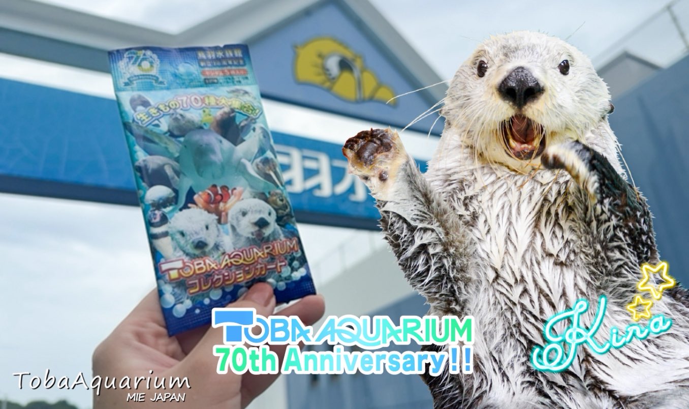 鳥羽水族館（TOBA AQUARIUM） on X: 