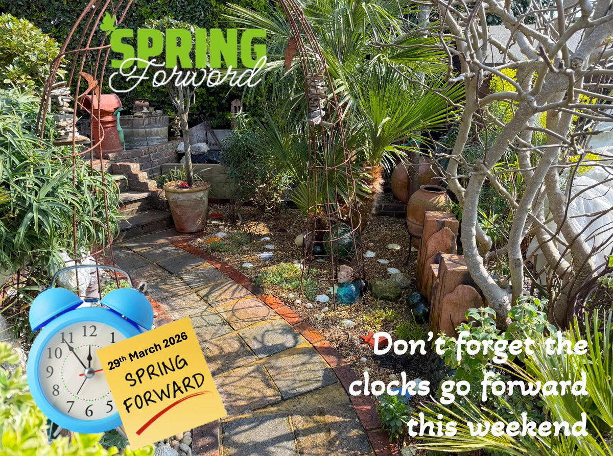 driftwoodbysea's tweet image. #springforward