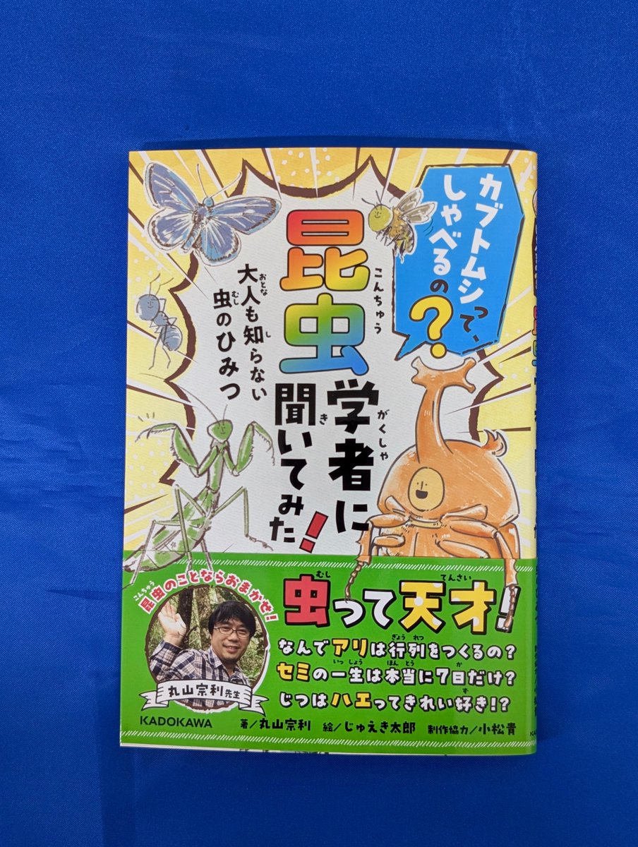 知遊堂 tweet media