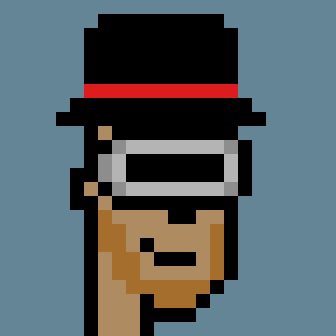 No-Punks tweet media