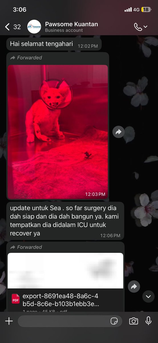 shahirah tweet media