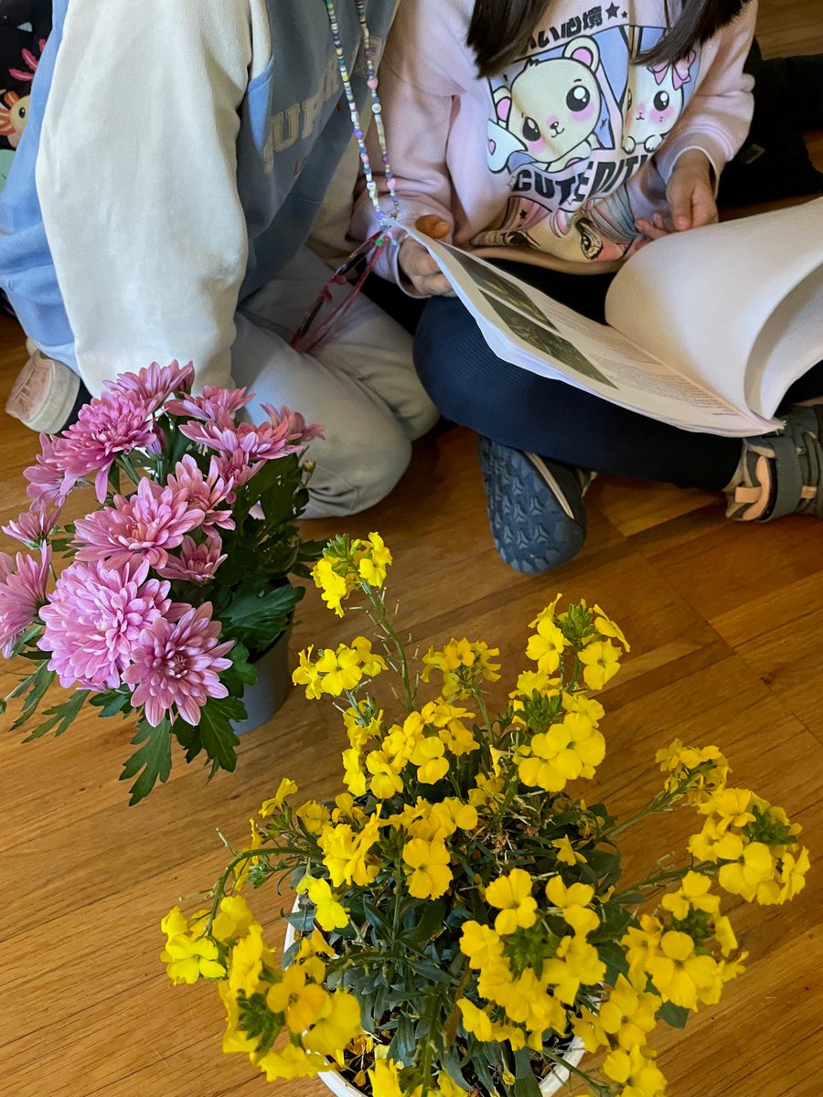 Compostela Verde 🌿 tweet media