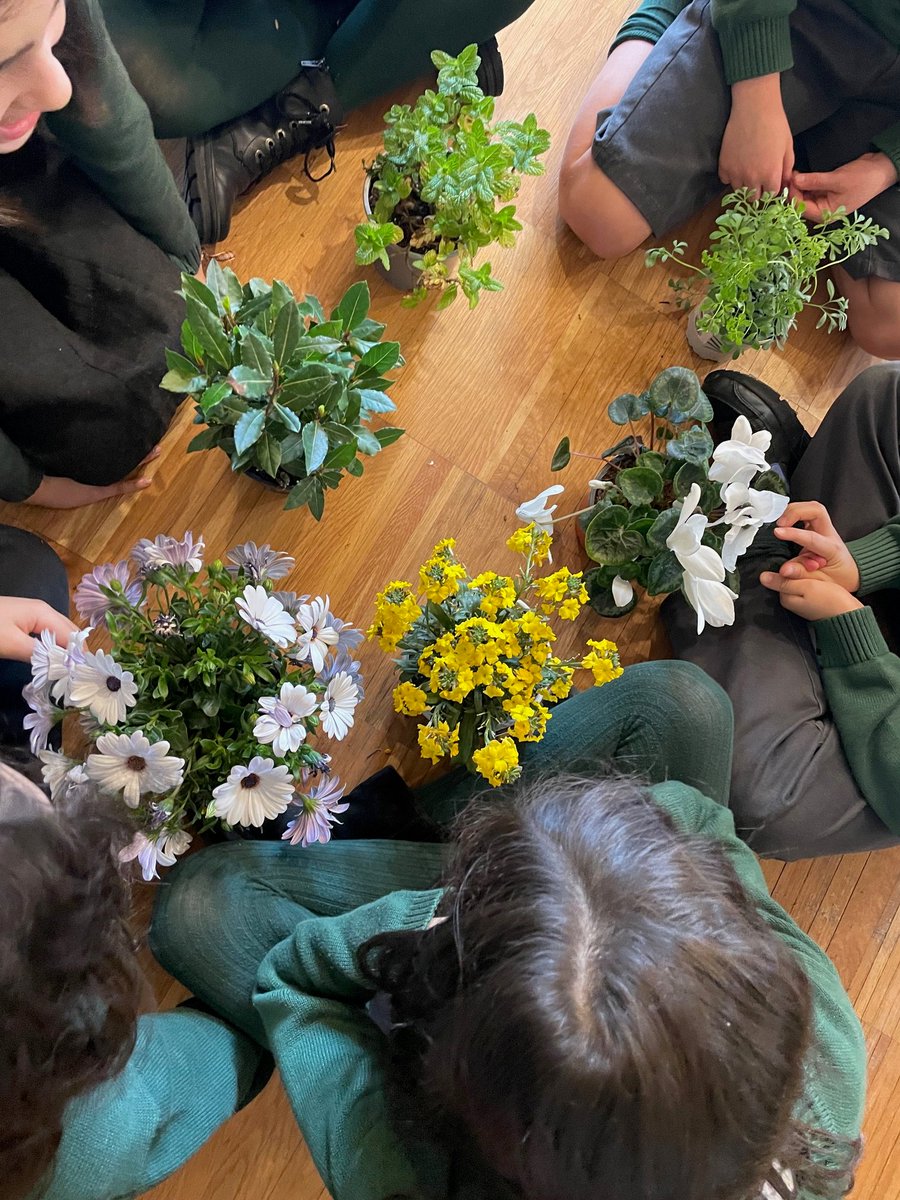 Compostela Verde 🌿 tweet media