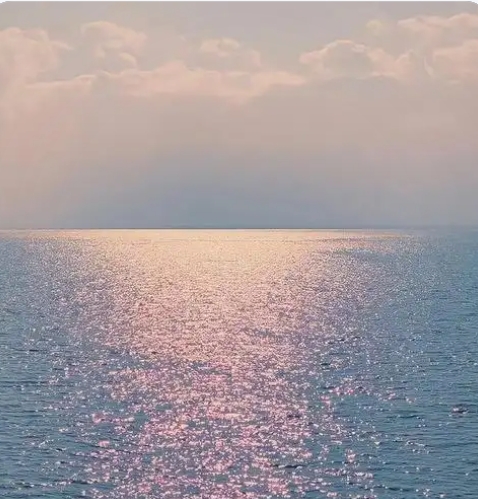 sarah nestle tweet media