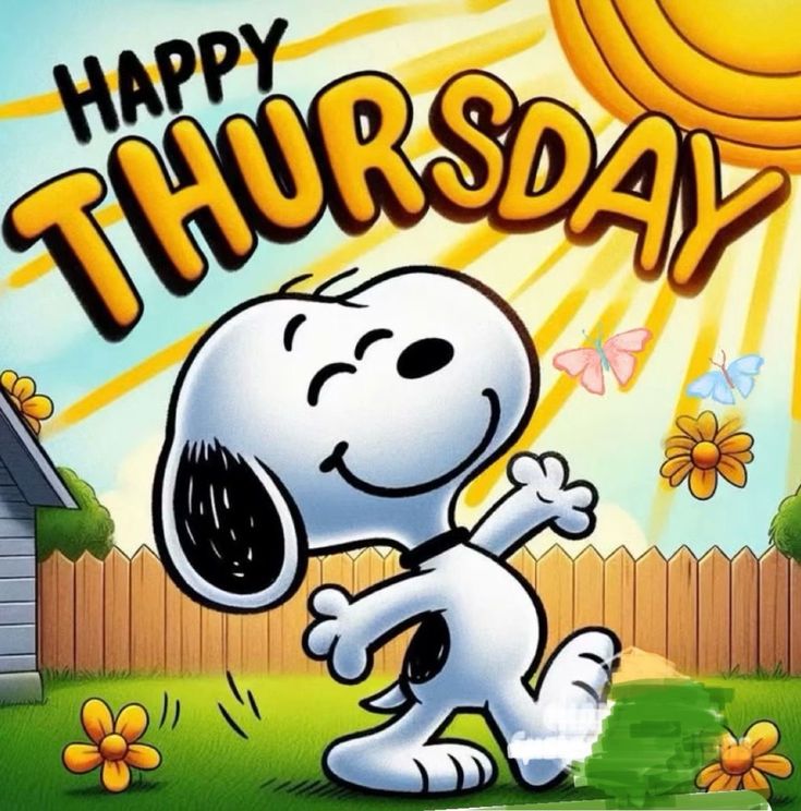 Andreas Pe💛🖤🇭🇺 tweet media