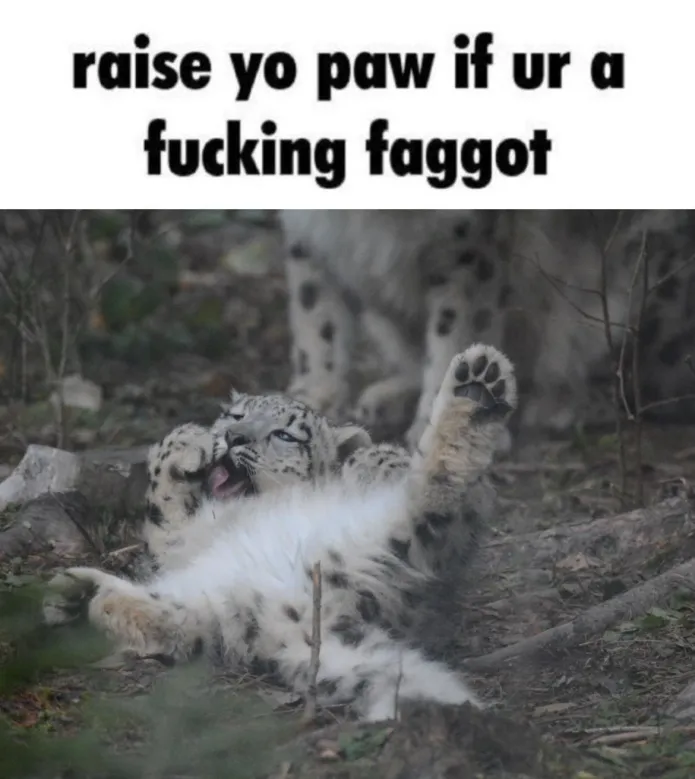 FurryFollowing tweet media