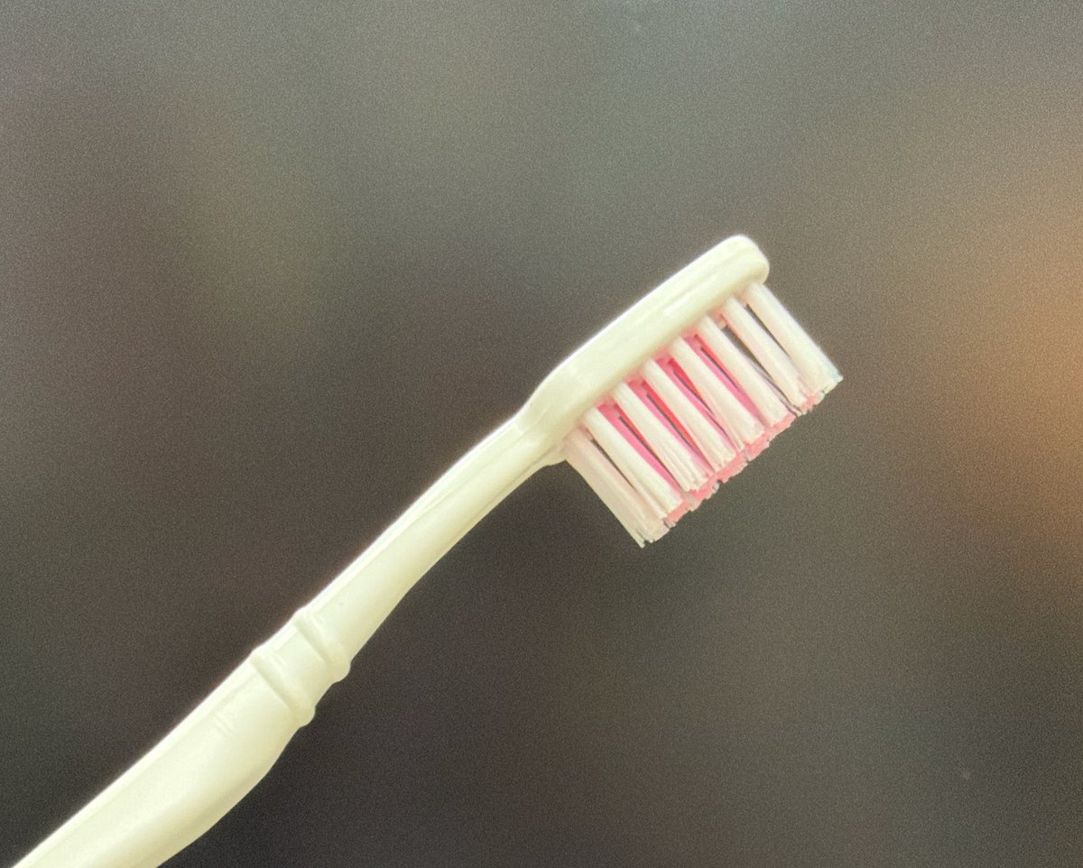 창천의 스란 tweet media