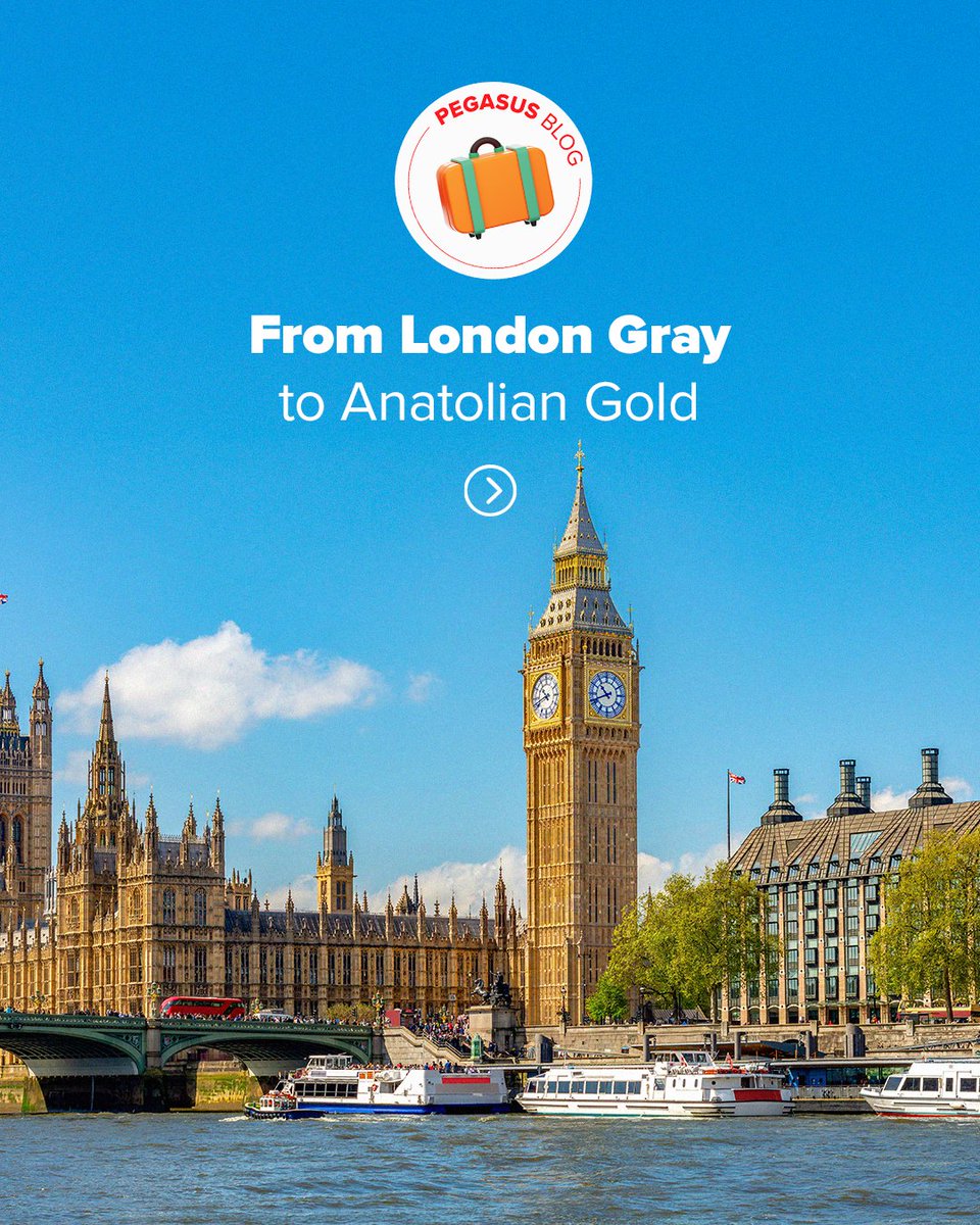 Pegasus Airlines tweet media