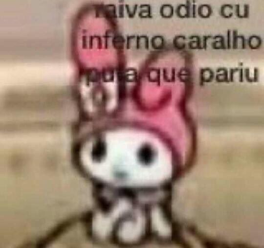 perfil dedicado a gatinhos e peitos tweet media