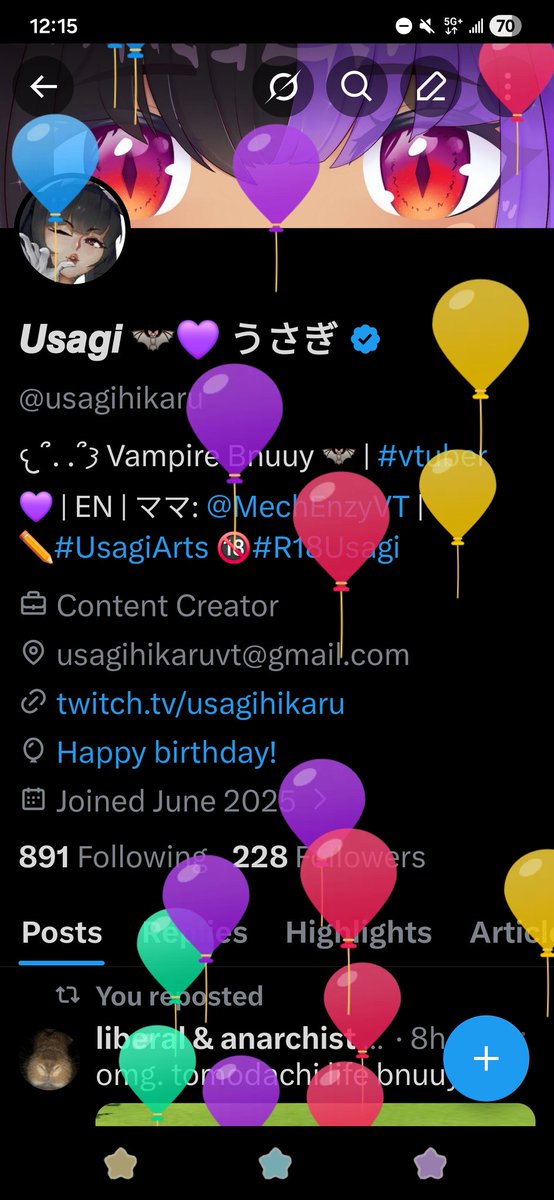 𝙐𝙨𝙖𝙜𝙞 🦇💜 うさぎ tweet media