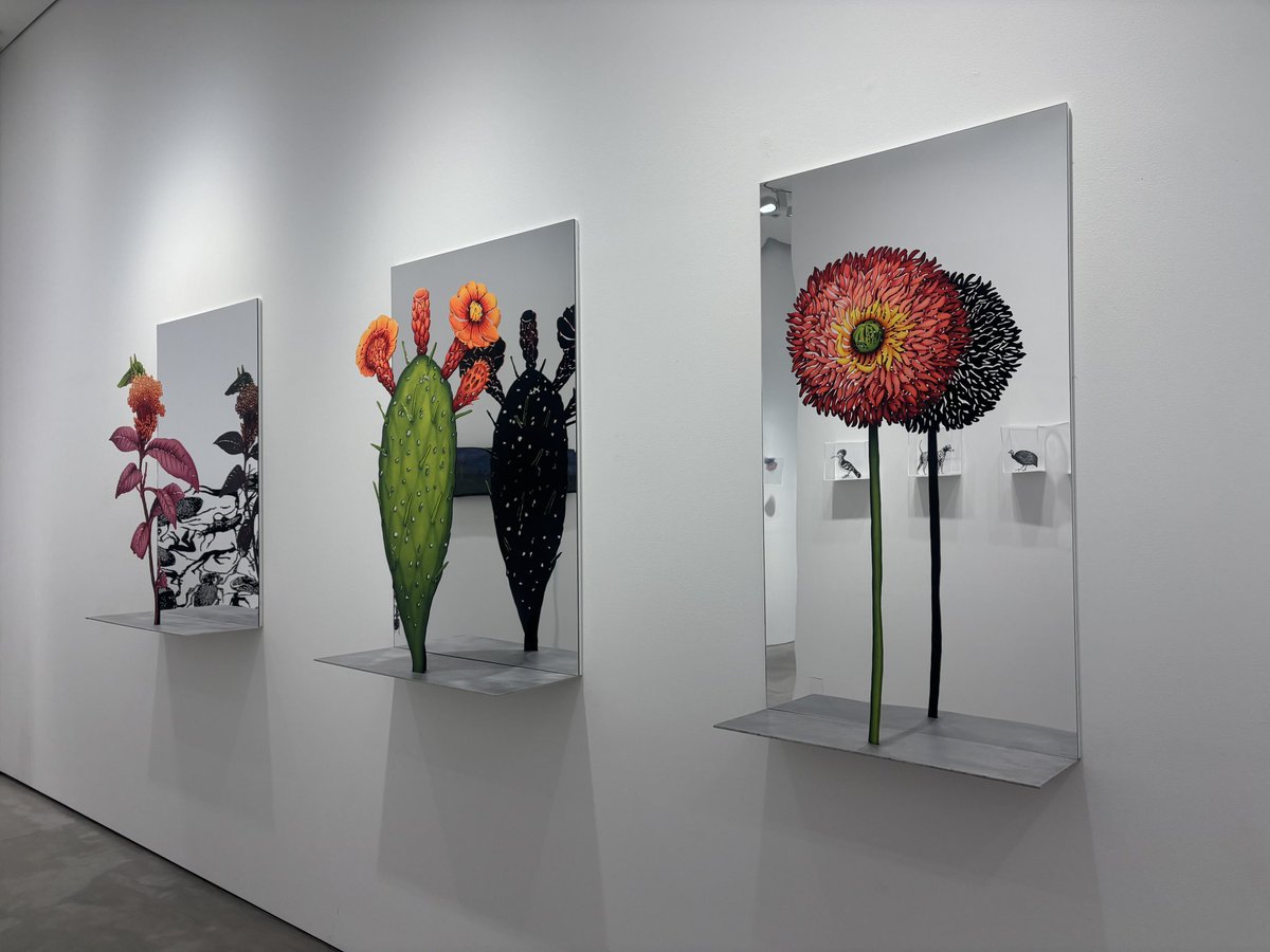 2026-#77 ZADOK BEN-DAVID「SECOND NATURE」／GYRE GALLERY