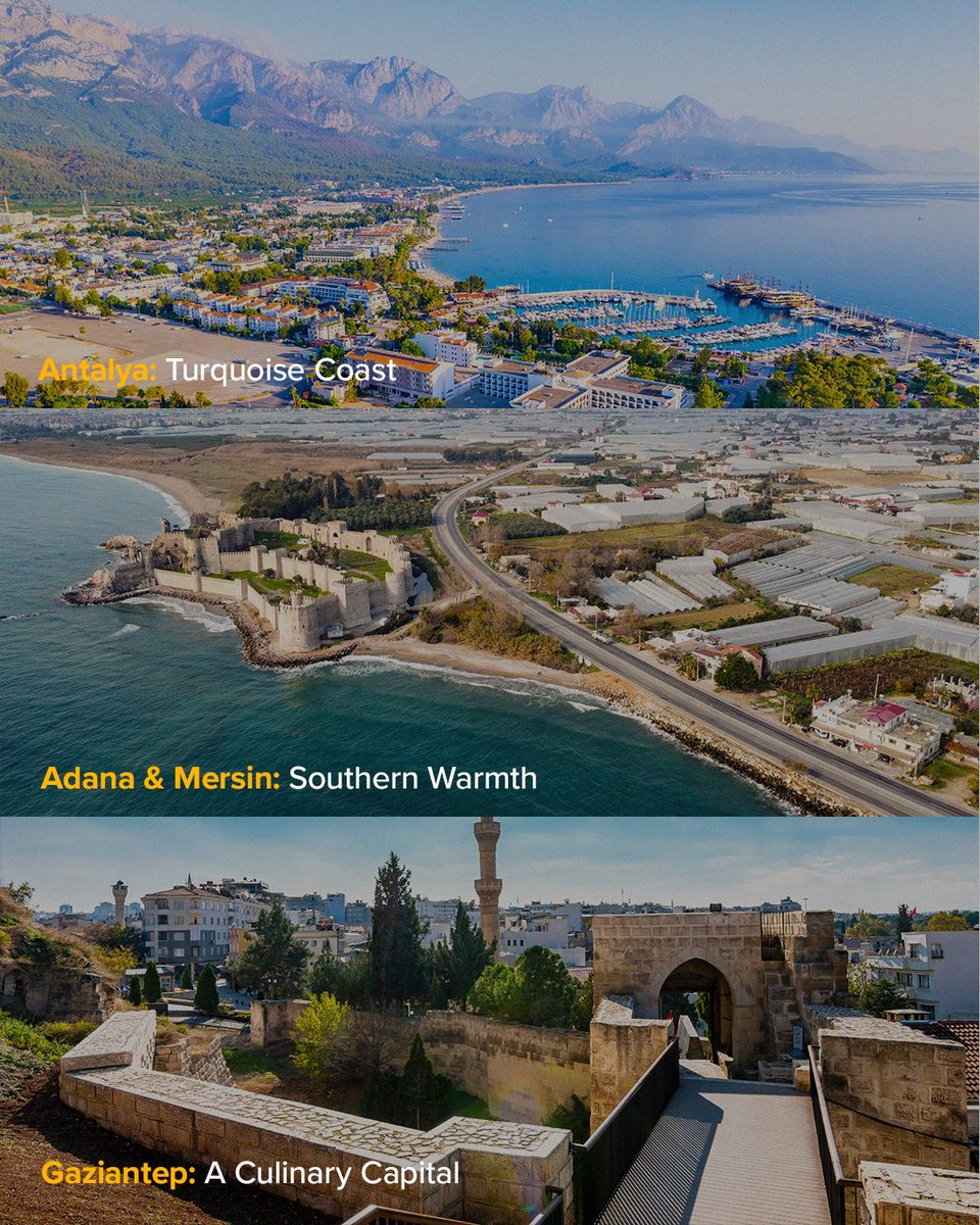 Pegasus Airlines tweet media