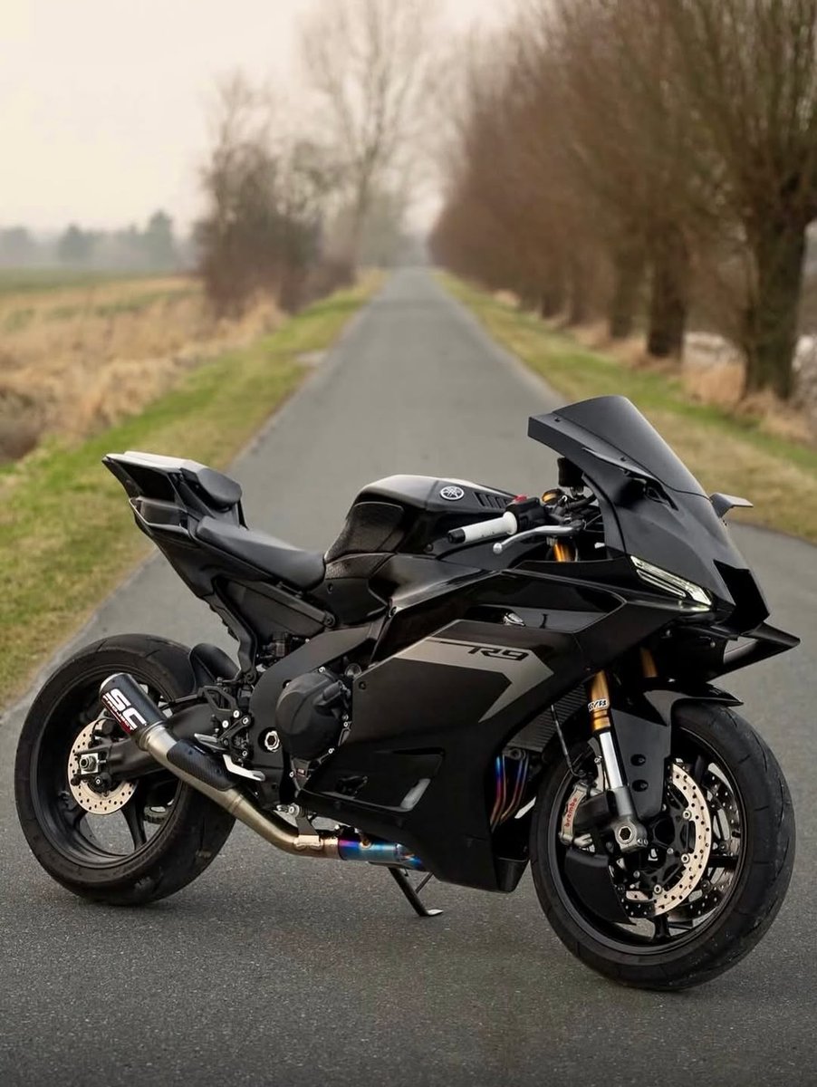 SC-Project tweet media