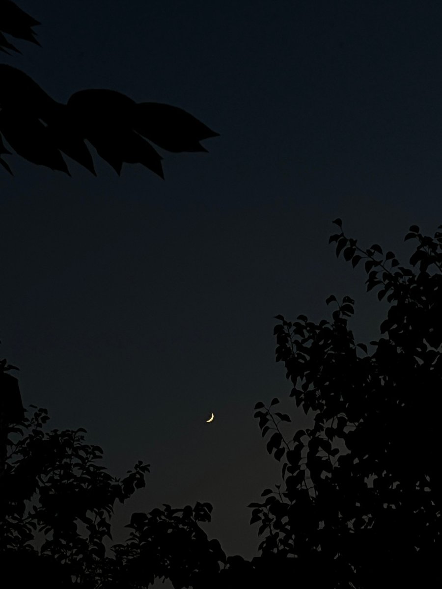 Kiyotzi Velazquez tweet media