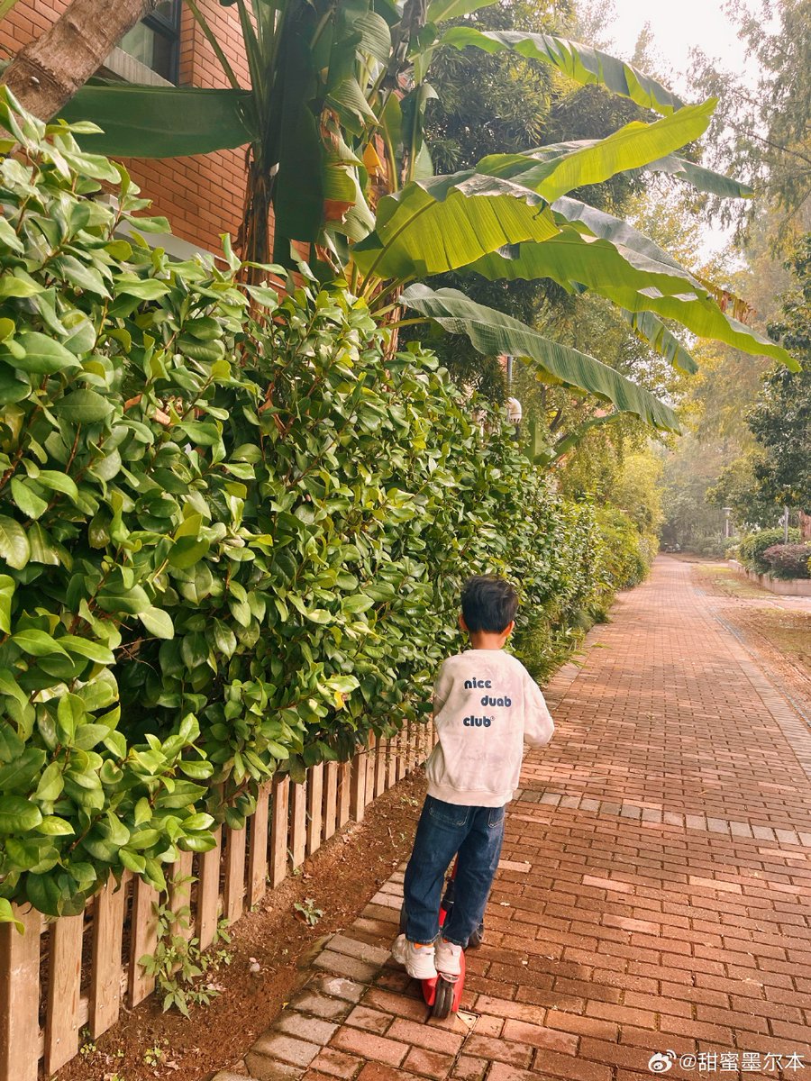 Carlos Eduardo Santo tweet media