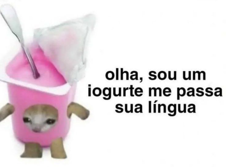 perfil dedicado a gatinhos e peitos tweet media